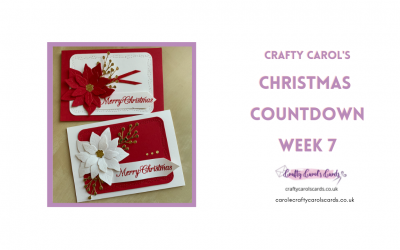 Christmas Countdown Week 7