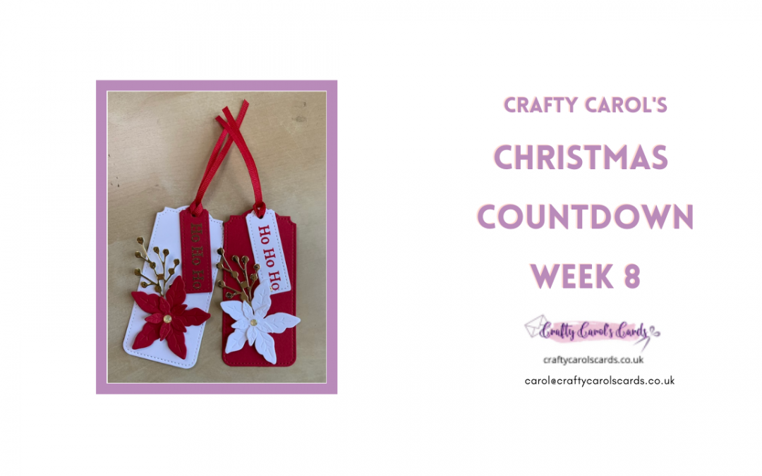 Christmas Countdown Week 8