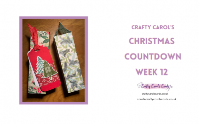 Christmas Countdown Week 12