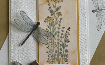 Vellum dragonfly card 2