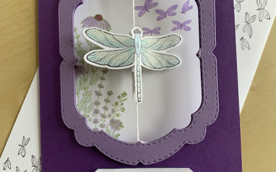 How to make a moving dragonfly card