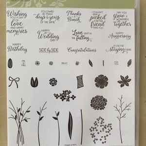 Beautiful Bouquet stamp set