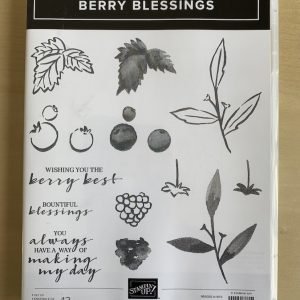 Berry Blesings stamp set