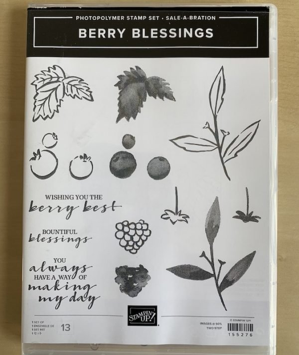 Berry Blesings stamp set