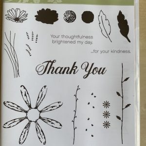 Daisy Delight stamp set