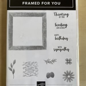 Framed for you stamp set