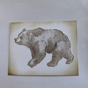 Bear stamp