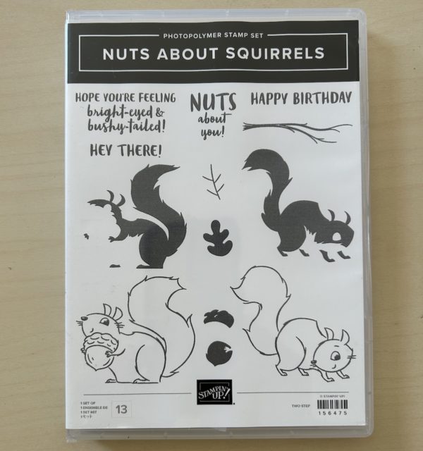 Nuts about Squirrels