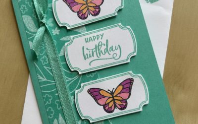 How to make a butterfly panel card