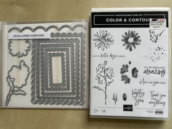 Color & Contour bundle