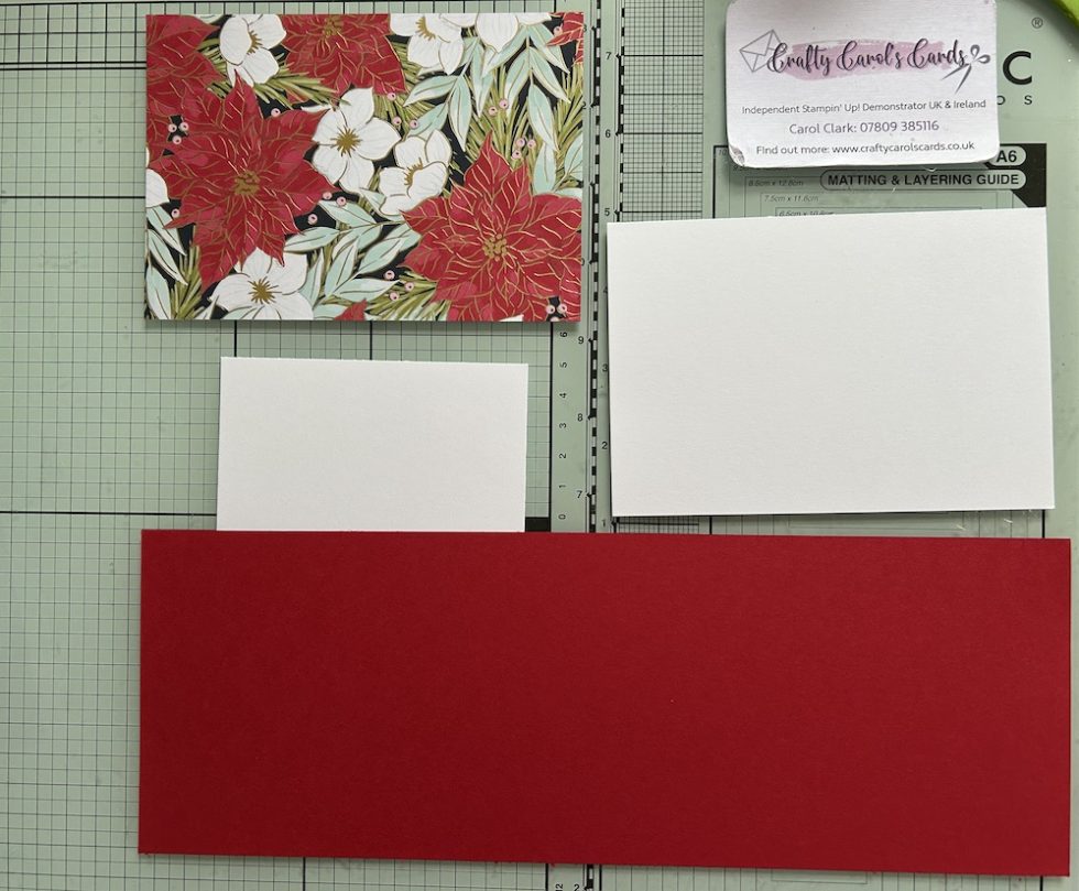 Simple cut funfold card - Crafty Carol's Cards