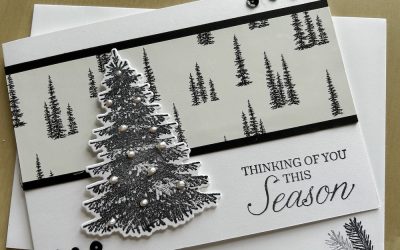 December blog hop: Black and White