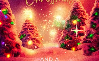 Have a wonderful Christmas