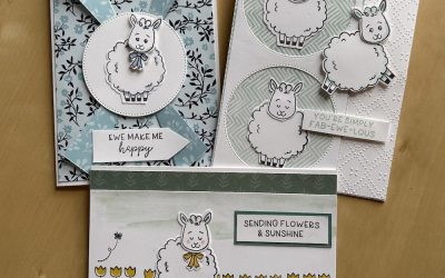 Three Woolly Friends cards